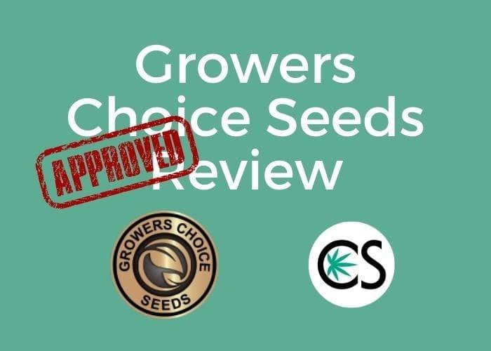 Growers Choice Seeds: Are They Truly a Popular Product Line?